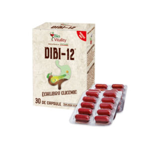 DIBI-12