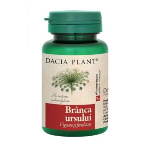 Dacia Plant Branca ursului