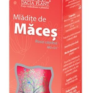 Dacia Plant Mladite de Maces