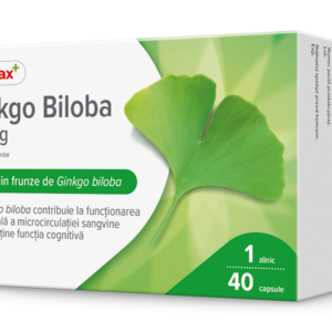 Dr. Max Ginkgo Biloba 60mg