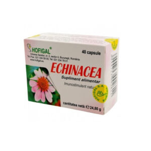 Echinacea 500mg 40 capsule Hofigal