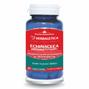 Echinaceea Indiana