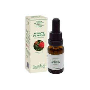 Extract Concentrat din mladite de ZMEUR