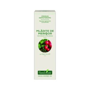 Extract concentrat din mladite de merisor