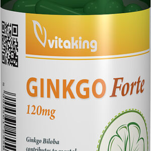 Extract de Ginkgo Forte 120mg