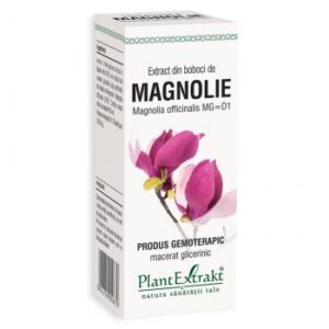 Extract din boboci de magnolia