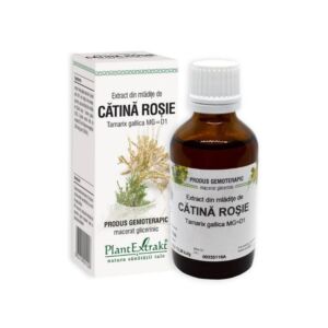 Extract din mladite de Catina rosie