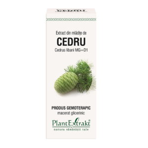 Extract din mladite de Cedru