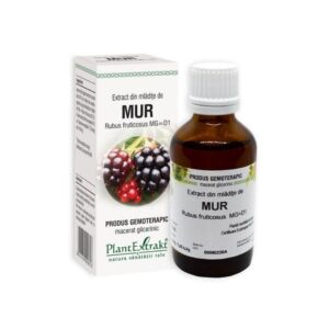 Extract din mladite de MUR