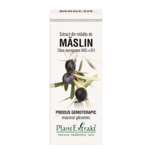 Extract din mladite de Maslin