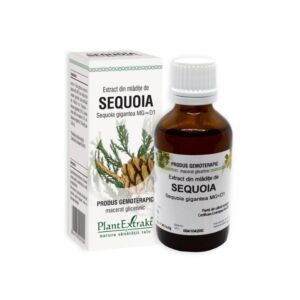 Extract din mladite de SEQUOIA