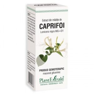 Extract din mladite de caprifoi