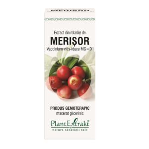 Extract din mladite de merisor