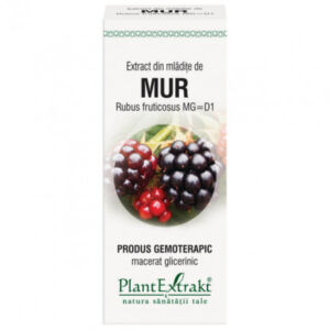 Extract din mladite de mur