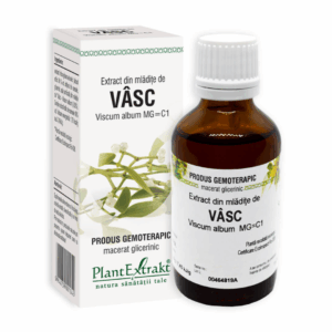 Extract din mladite de vasc