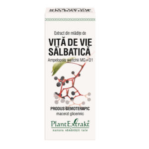 Extract din mladite de vita de vie salbatica