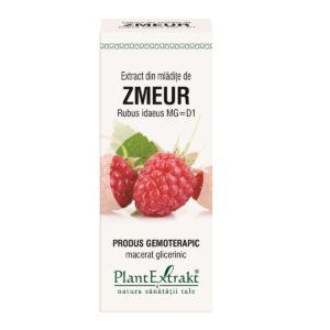 Extract din mladite de zmeur