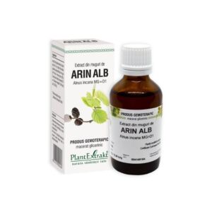Extract din muguri de ARIN ALB