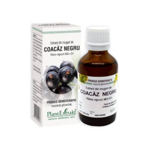 Extract din muguri de COACAZ NEGRU