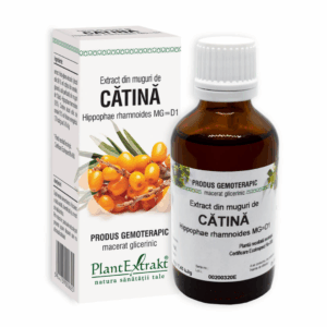 Extract din muguri de Catina