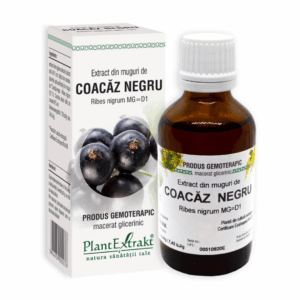 Extract din muguri de Coacaz Negru