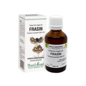 Extract din muguri de FRASIN