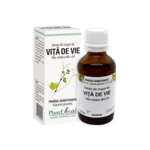 Extract din muguri de VITA DE VIE