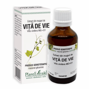 Extract din muguri de Vita de Vie