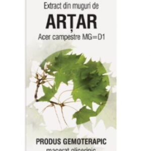 Extract din muguri de artar