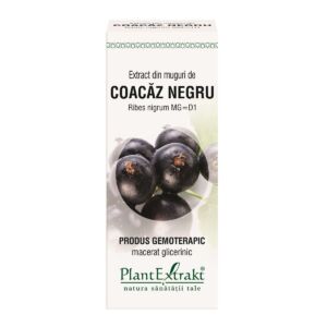 Extract din muguri de coacaz negru