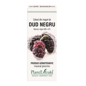 Extract din muguri de dud negru