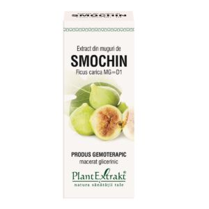 Extract din muguri de smochin