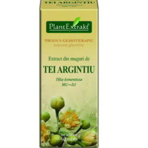 Extract din muguri de tei argintiu