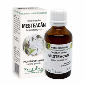 Extract din seva de Mesteacan