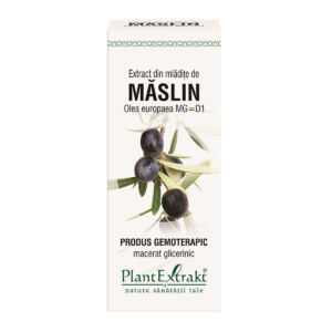 Extract mladite maslin x 50ml (PLX)