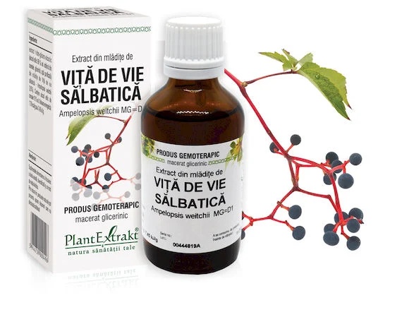 Extract mladite vita vie salbatica x 50ml (PLX)