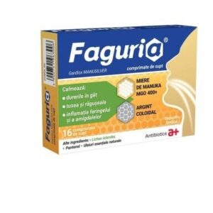 Faguria