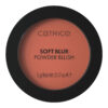 Fard de obraz mat 030 Cinnamon Sugar Soft Blur