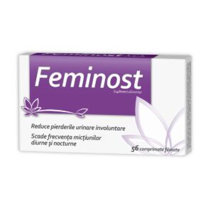 Feminost
