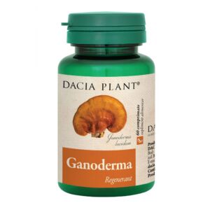 Ganoderma