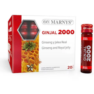Ginjal 2000