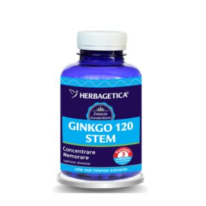 Ginkgo 120 stem