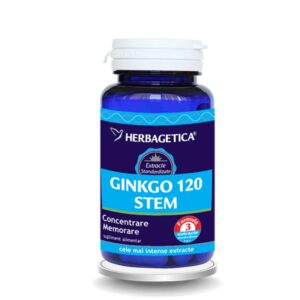 Ginkgo 120 stem