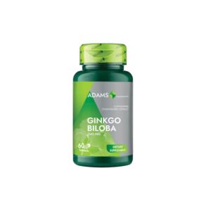 Ginkgo Biloba 240mg