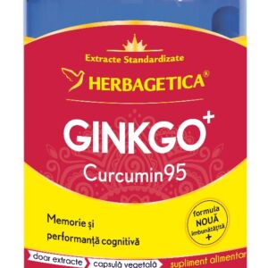 Ginkgo + Curcumin95
