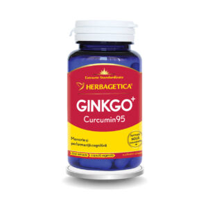 Ginkgo Curcumin95