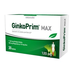 GinkoPrim Max 120mg