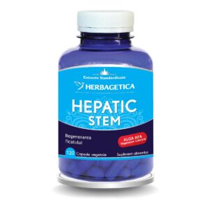 Hepatic+ Stem