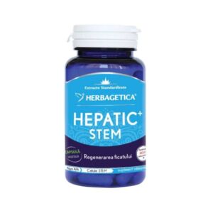 Hepatic Stem