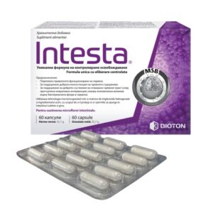 Intesta